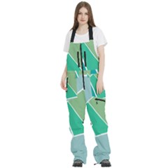 Geometric Colors  Pool Women s Front Zip Ski And Snowboard Bib Pants