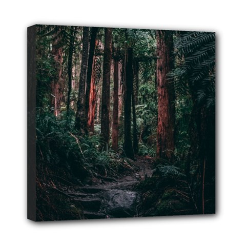 Forest Jungle Trees Tropics Mini Canvas 8  X 8  (stretched)