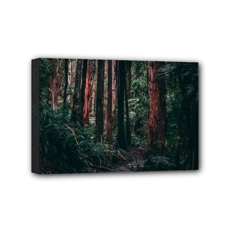 Forest Jungle Trees Tropics Mini Canvas 6  X 4  (stretched) by Bedest