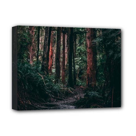 Forest Jungle Trees Tropics Deluxe Canvas 16  X 12  (stretched) 