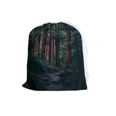 Forest Jungle Trees Tropics Drawstring Pouch (large)