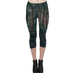 Forest Jungle Trees Tropics Capri Leggings 