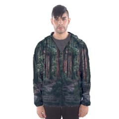 Forest Jungle Trees Tropics Men s Hooded Windbreaker