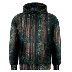 Forest Jungle Trees Tropics Men s Core Hoodie