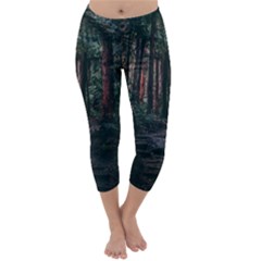 Forest Jungle Trees Tropics Capri Winter Leggings 