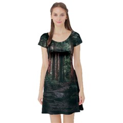 Forest Jungle Trees Tropics Short Sleeve Skater Dress