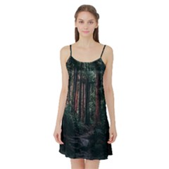 Forest Jungle Trees Tropics Satin Night Slip