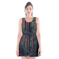 Forest Jungle Trees Tropics Scoop Neck Skater Dress