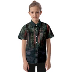 Forest Jungle Trees Tropics Kids  Short Sleeve Shirt