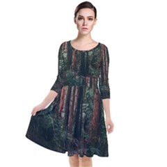 Forest Jungle Trees Tropics Quarter Sleeve Waist Band Dress