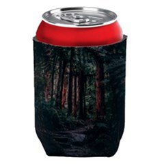 Forest Jungle Trees Tropics Can Holder