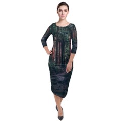 Forest Jungle Trees Tropics Quarter Sleeve Midi Velour Bodycon Dress