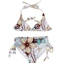 Flowers Flowers Pattern Kids  Classic Bikini Set View1