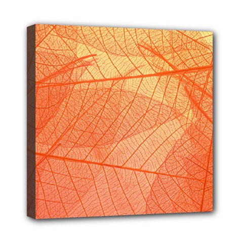 Abstract Texture Of Colorful Bright Pattern Of Transparent Leaves Of Orange And Yellow Color Mini Canvas 8  X 8  (stretched)