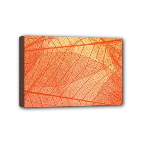 Abstract Texture Of Colorful Bright Pattern Of Transparent Leaves Of Orange And Yellow Color Mini Canvas 6  X 4  (stretched) by Posterlux