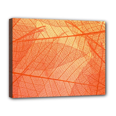 Abstract Texture Of Colorful Bright Pattern Of Transparent Leaves Of Orange And Yellow Color Canvas 14  X 11  (stretched)