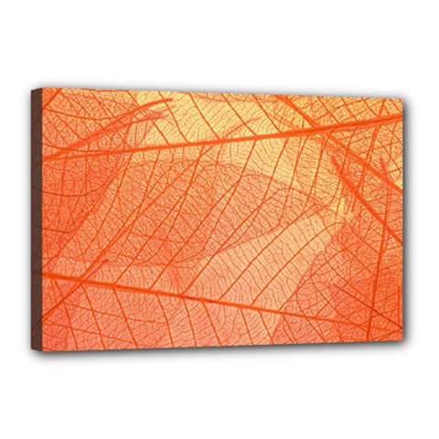 Abstract Texture Of Colorful Bright Pattern Of Transparent Leaves Of Orange And Yellow Color Canvas 18  X 12  (stretched)