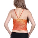 Abstract Texture Of Colorful Bright Pattern Of Transparent Leaves Of Orange And Yellow Color Spaghetti Strap Bra Top View2