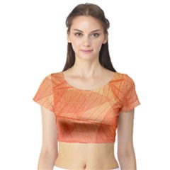 Abstract Texture Of Colorful Bright Pattern Of Transparent Leaves Of Orange And Yellow Color Short Sleeve Crop Top