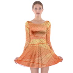 Abstract Texture Of Colorful Bright Pattern Of Transparent Leaves Of Orange And Yellow Color Long Sleeve Skater Dress