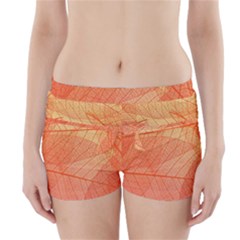 Abstract Texture Of Colorful Bright Pattern Of Transparent Leaves Of Orange And Yellow Color Boyleg Bikini Wrap Bottoms