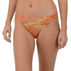 Abstract Texture Of Colorful Bright Pattern Of Transparent Leaves Of Orange And Yellow Color Band Bikini Bottoms