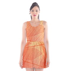 Abstract Texture Of Colorful Bright Pattern Of Transparent Leaves Of Orange And Yellow Color Scoop Neck Skater Dress