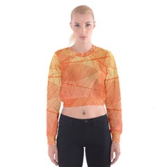 Abstract Texture Of Colorful Bright Pattern Of Transparent Leaves Of Orange And Yellow Color Cropped Sweatshirt by Posterlux