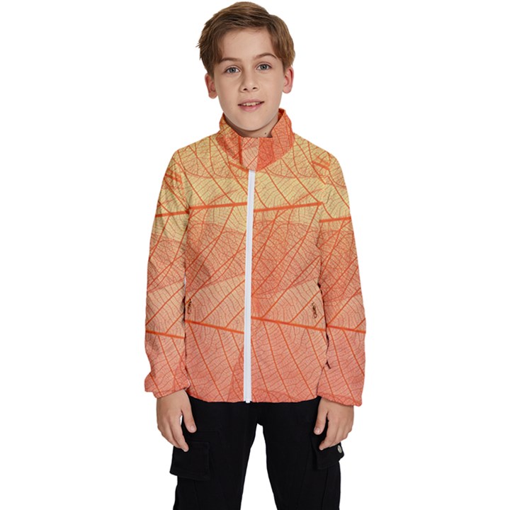 Abstract Texture Of Colorful Bright Pattern Of Transparent Leaves Of Orange And Yellow Color Kids  High Neck Windbreaker