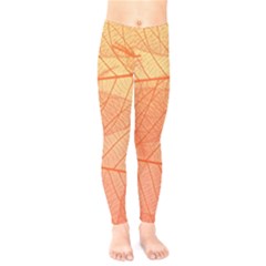 Abstract Texture Of Colorful Bright Pattern Of Transparent Leaves Of Orange And Yellow Color Kids  Classic Winter Leggings