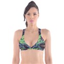 Lake Mountains Aorora Northern Lights Snow Plunge Bikini Top View1