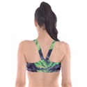 Lake Mountains Aorora Northern Lights Snow Plunge Bikini Top View2