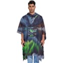 Lake Mountains Aorora Northern Lights Snow Men s Hooded Rain Ponchos View1