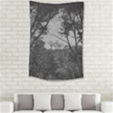 Patagonia Forest, Nahuel Huapi National Park, Rio Negro, Argentina Small Tapestry View2