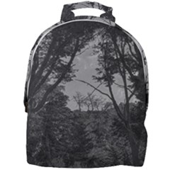 Patagonia Forest, Nahuel Huapi National Park, Rio Negro, Argentina Mini Full Print Backpack