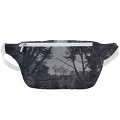 Patagonia Forest, Nahuel Huapi National Park, Rio Negro, Argentina Waist Bag 