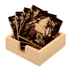 Patagonia Forest, Nahuel Huapi National Park, Rio Negro, Argentina Bamboo Coaster Set