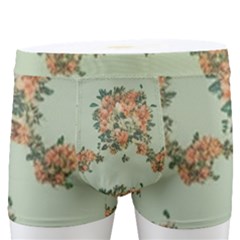 Retro 1880s Flowers Pattern 19 Men s Boxer Briefs