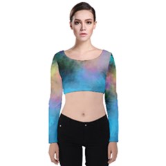 Smokescreen Velvet Long Sleeve Crop Top