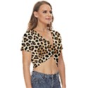 Leopard Twist Front Crop Top View3