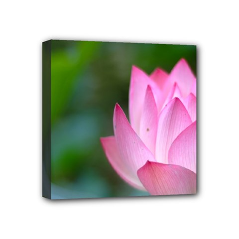 Red Pink Flower Mini Canvas 4  X 4  (stretched) by ironman2222