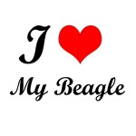 I Love My Beagle