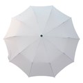 Umbrella image