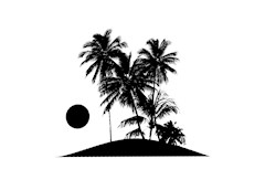 tropical scene island sunset illustration