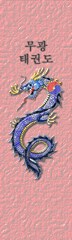 bookmark dragon