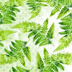 fern leaves