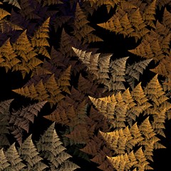 fractal fern