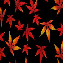 colorful autumn leaves on black background