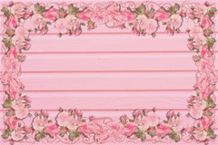 pink peony outline romantic