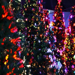 lit christmas trees prelit creating colorful pattern